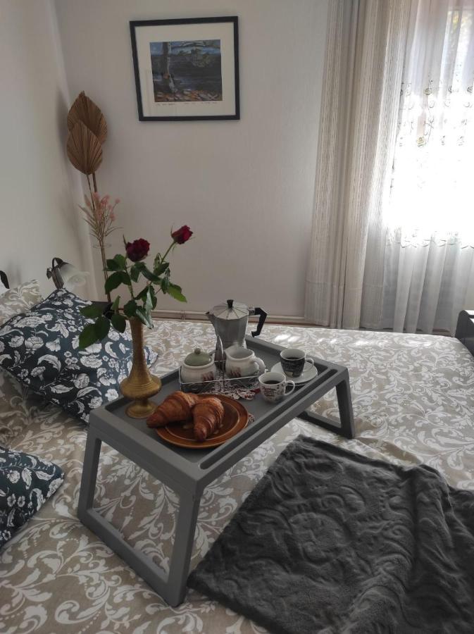 Apartmani Gruzdovo 델니체 외부 사진