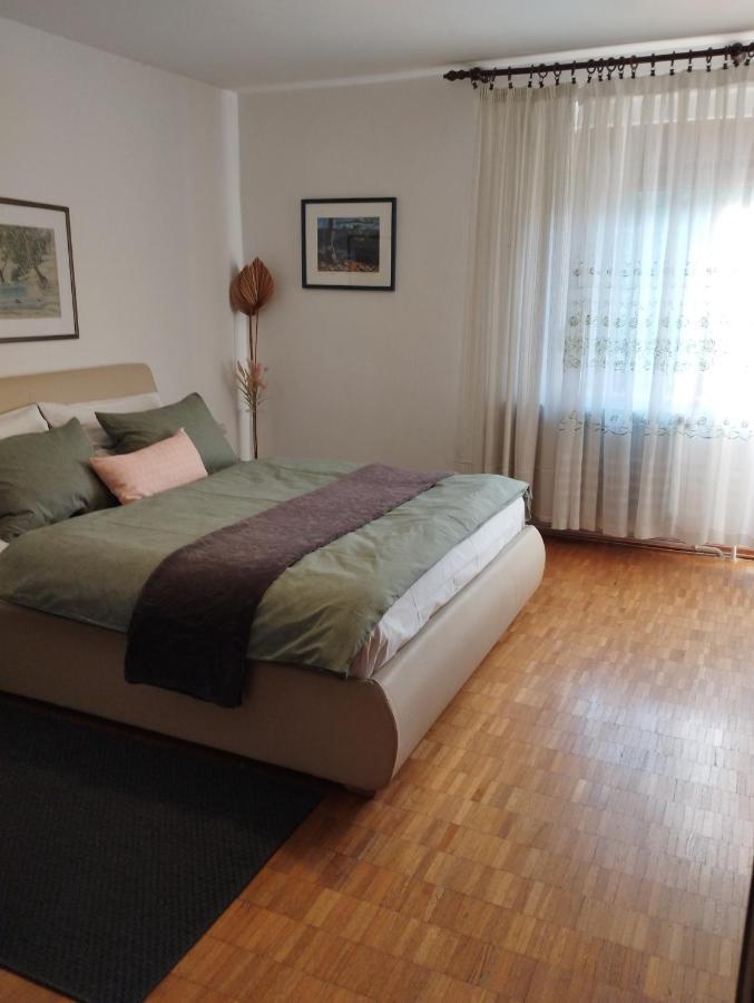 Apartmani Gruzdovo 델니체 외부 사진